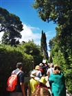 DIEM 2021 photo 126