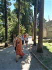 DIEM 2021 photo 128