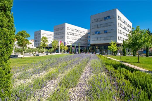 Akademis Academia exterior with lavender garden